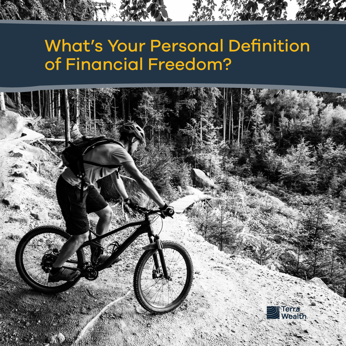 Defining Financial Freedom Your Personal Journey TerraWealth